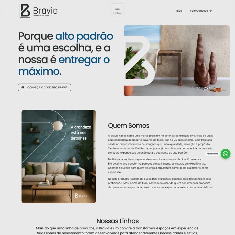Conceito Bravia